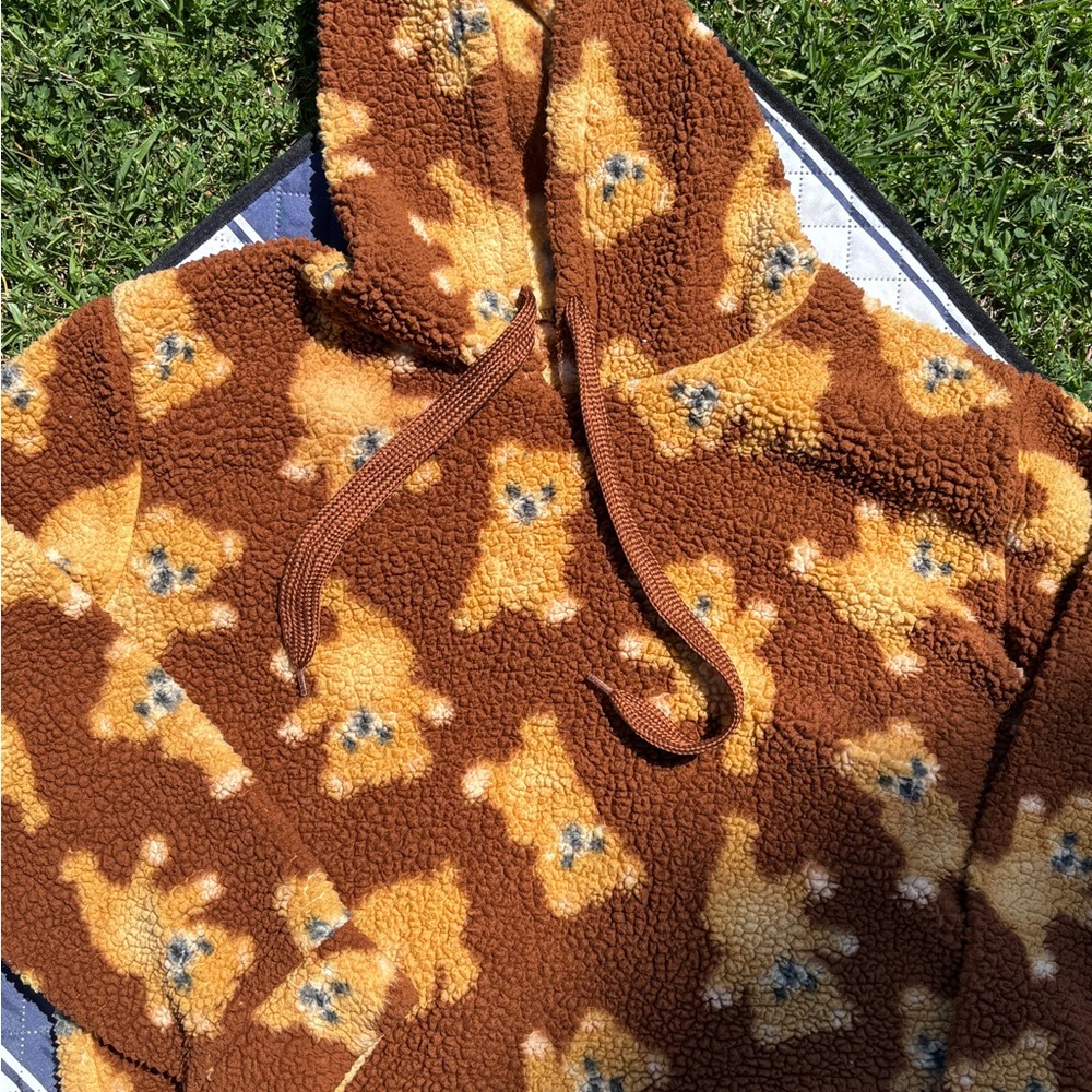 Brown Teddy Bear Print Hoodie